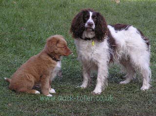 Rupert with Spud