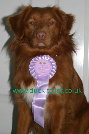 Rupert with his first Clear Round Rosette